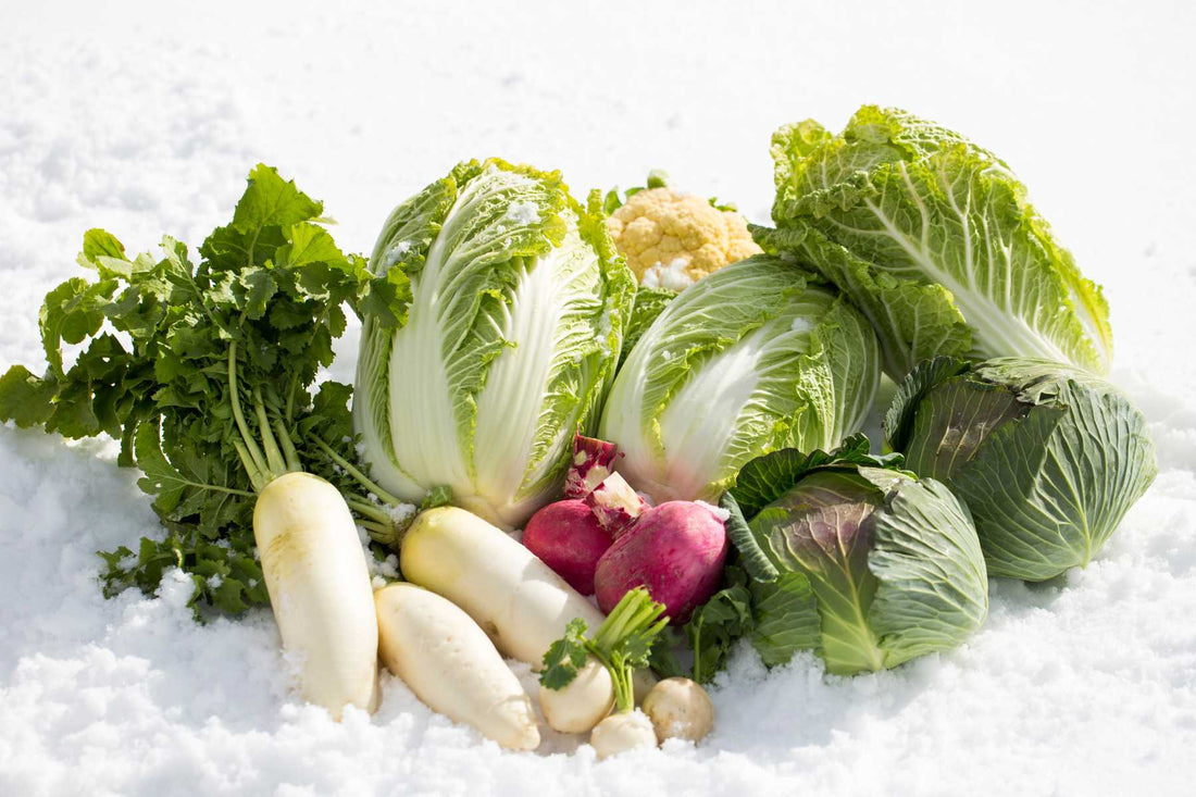 cold weather crops