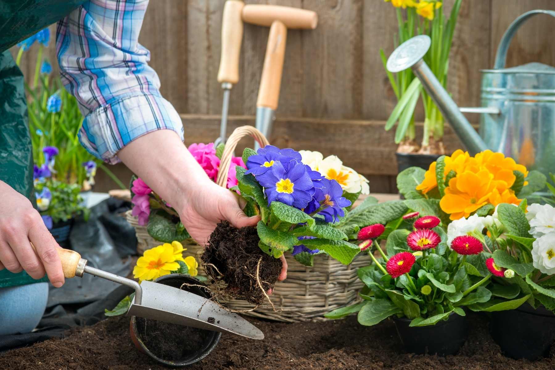 How to Design a Stunning Flower Garden from Scratch