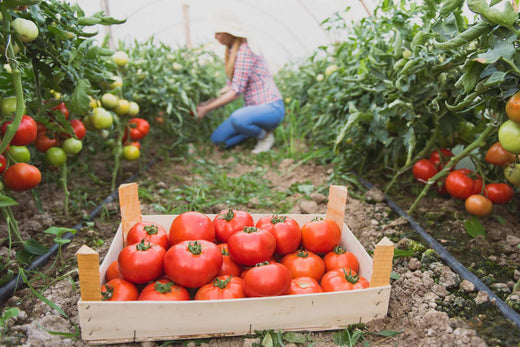 organic gardening