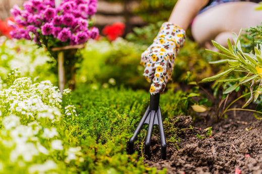 seasonal garden maintenance